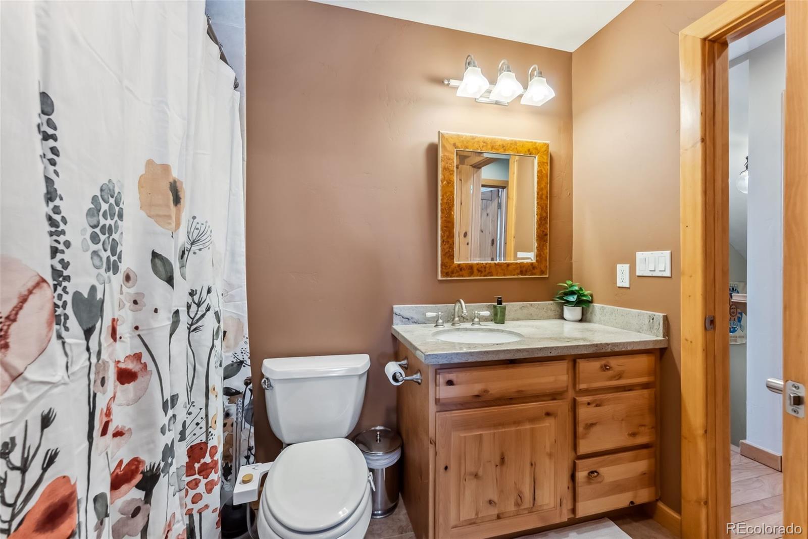 MLS Image #15 for 960  whispering pines lane,breckenridge, Colorado