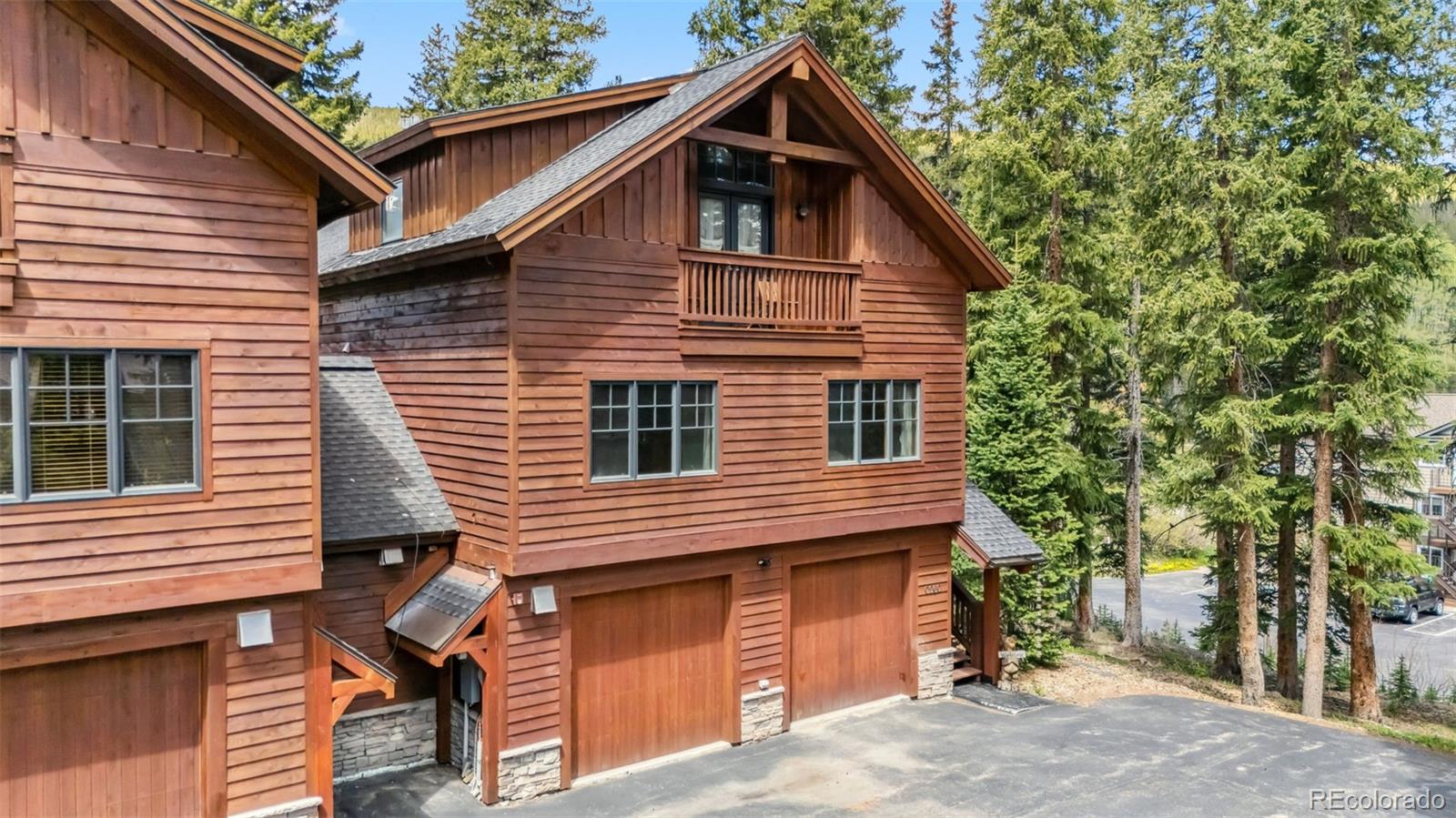 MLS Image #3 for 960  whispering pines lane,breckenridge, Colorado