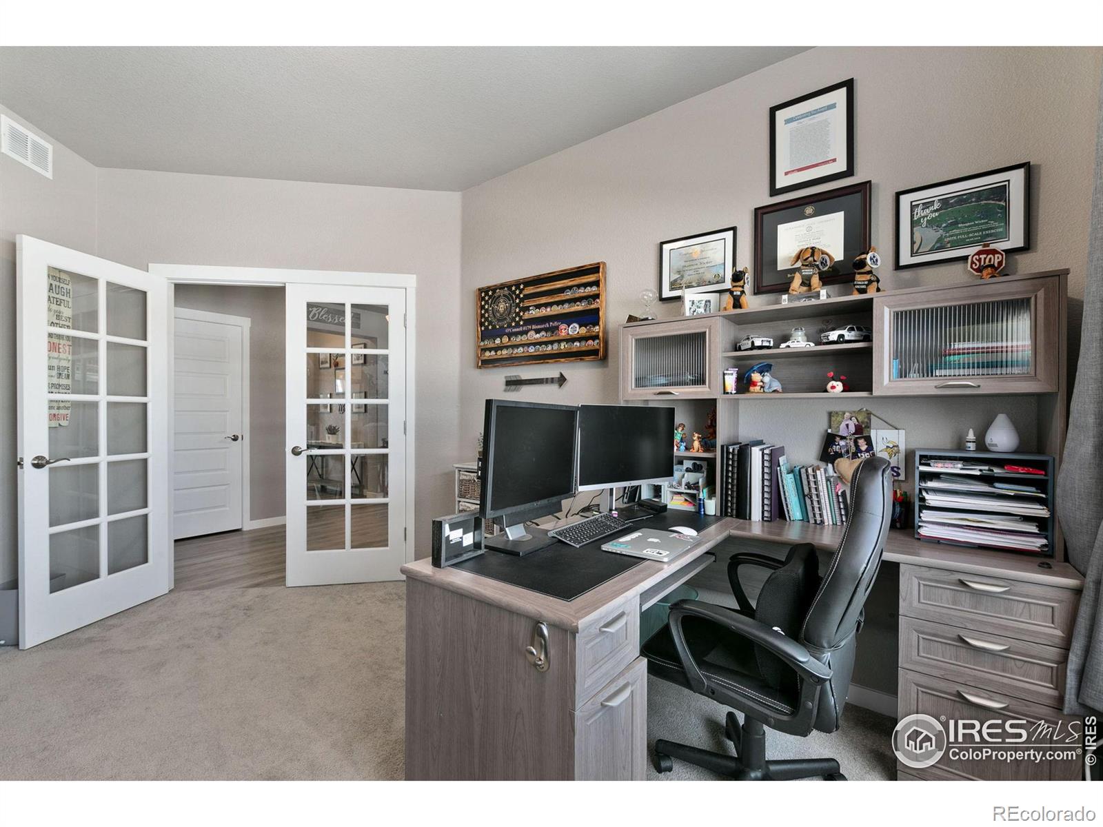 MLS Image #21 for 2148  orchard bloom drive,windsor, Colorado