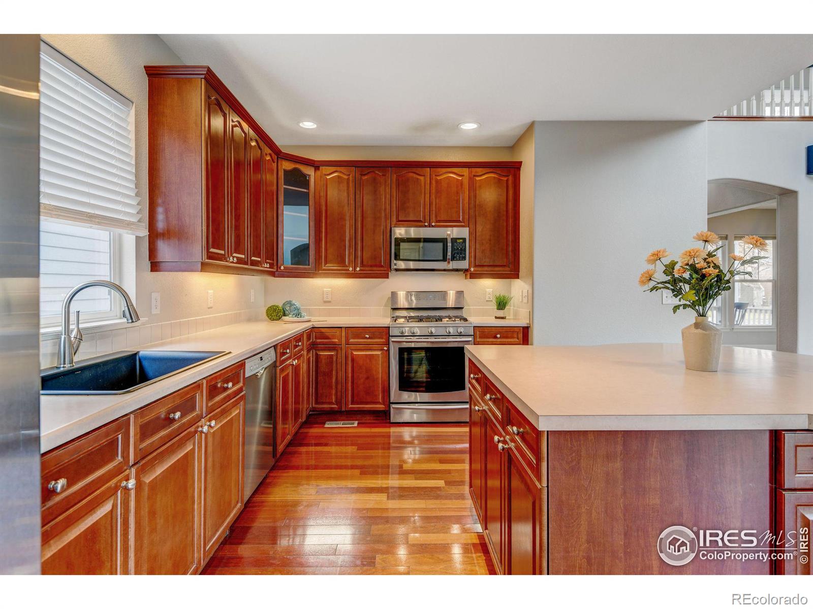 MLS Image #13 for 4008  ravenna place,longmont, Colorado