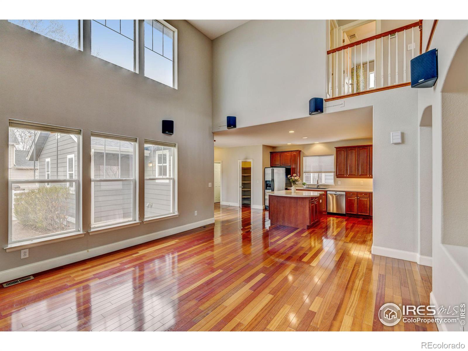 MLS Image #14 for 4008  ravenna place,longmont, Colorado