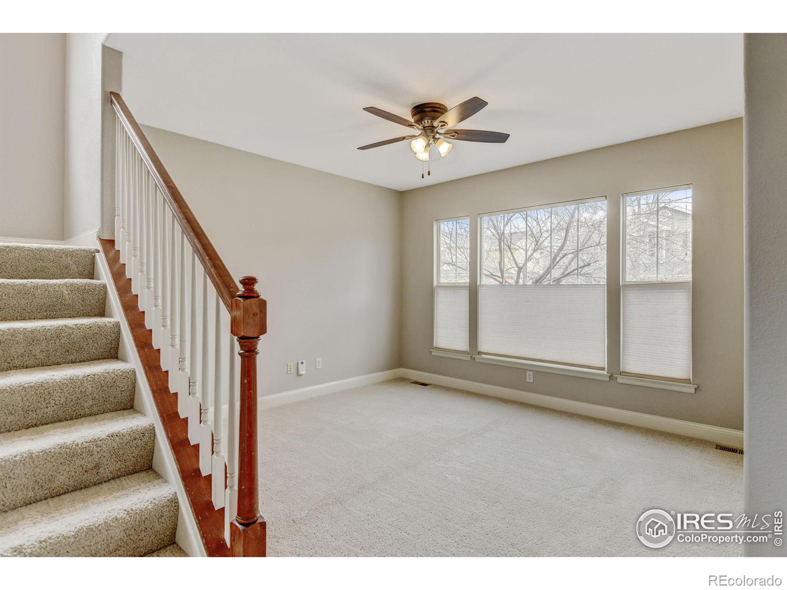MLS Image #17 for 4008  ravenna place,longmont, Colorado