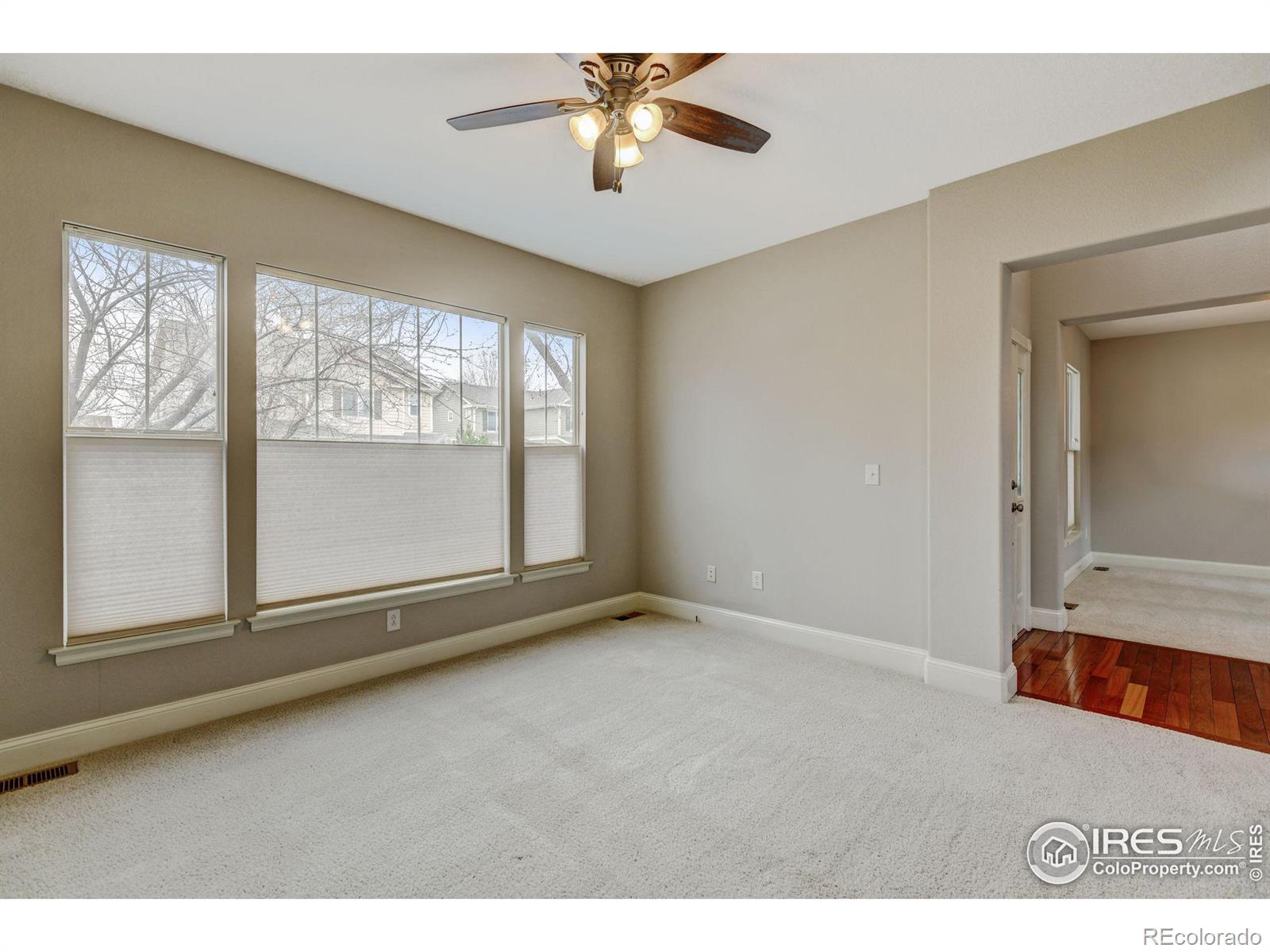 MLS Image #19 for 4008  ravenna place,longmont, Colorado