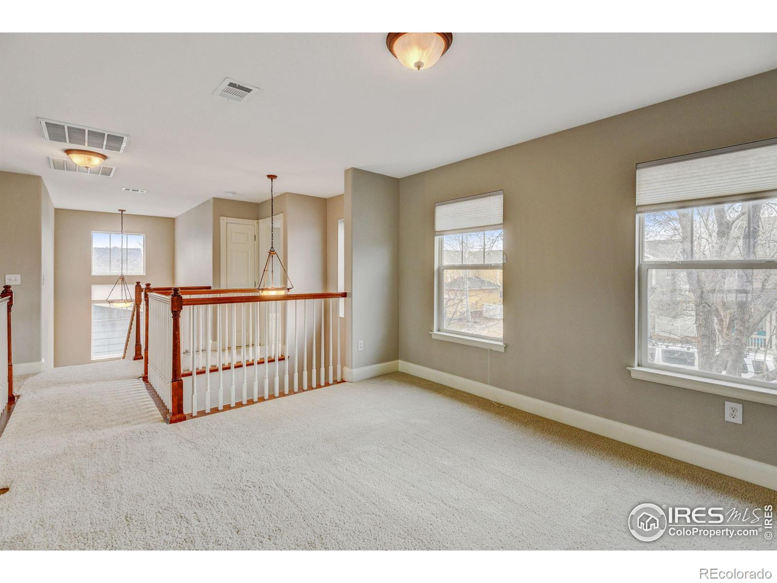 MLS Image #25 for 4008  ravenna place,longmont, Colorado
