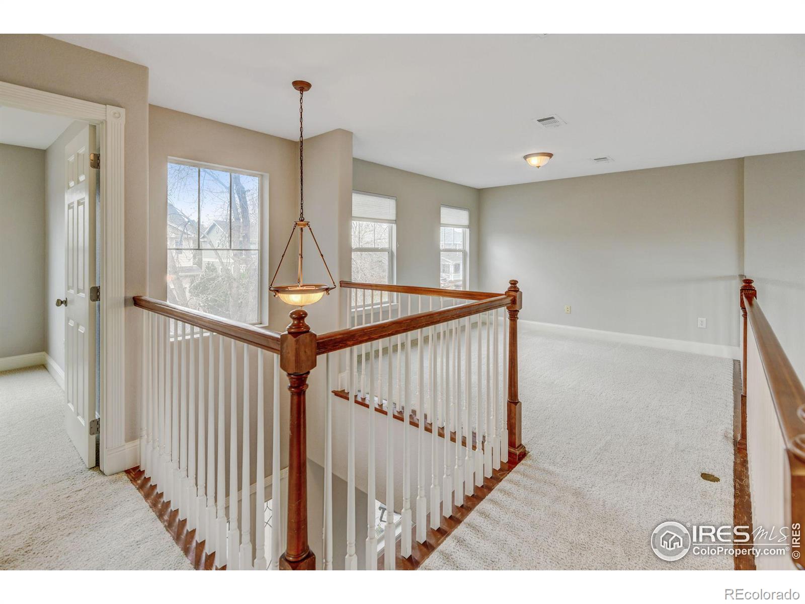 MLS Image #27 for 4008  ravenna place,longmont, Colorado