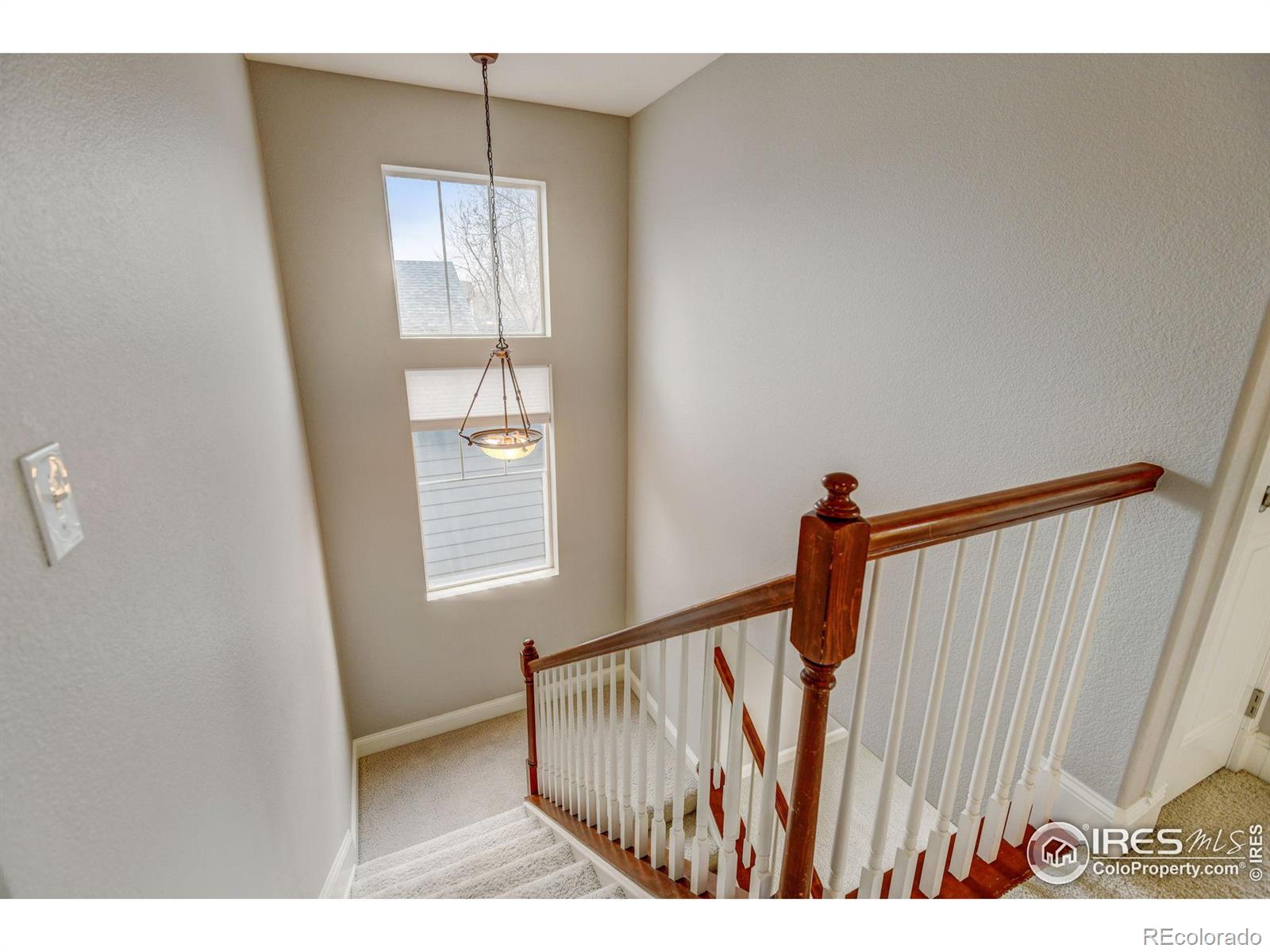 MLS Image #32 for 4008  ravenna place,longmont, Colorado