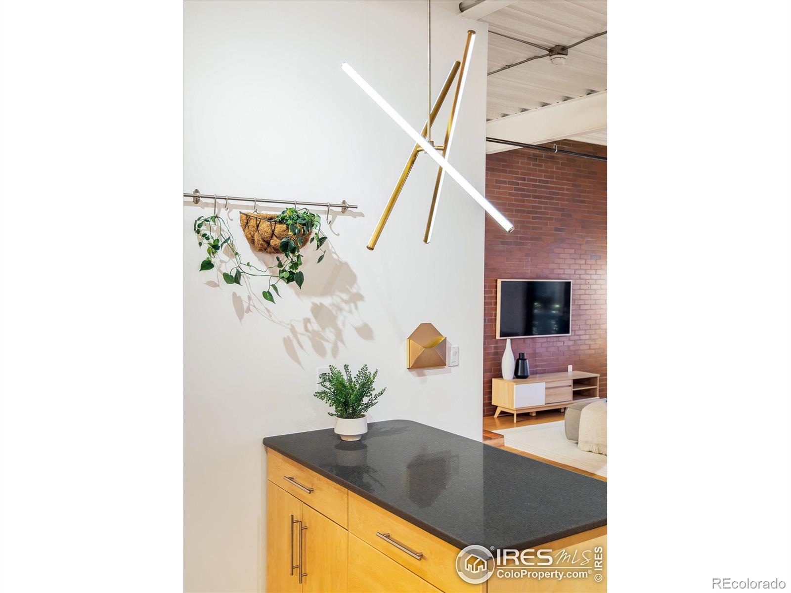 MLS Image #14 for 1360  walnut street,boulder, Colorado