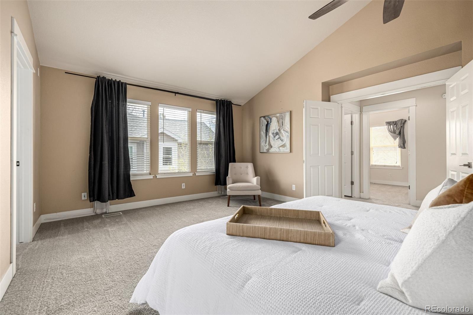 MLS Image #18 for 16434  homestead court,parker, Colorado