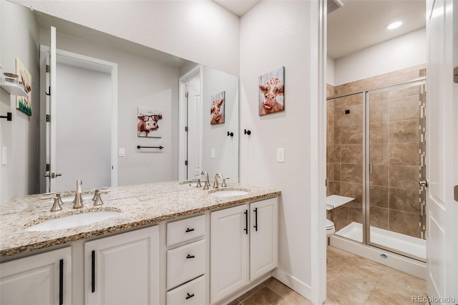 MLS Image #33 for 9742  taylor river circle,littleton, Colorado