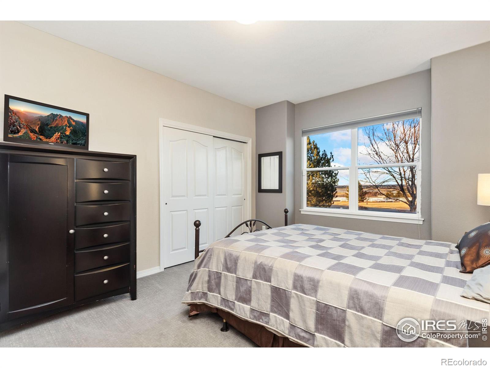 MLS Image #15 for 2785  anchorage court,loveland, Colorado