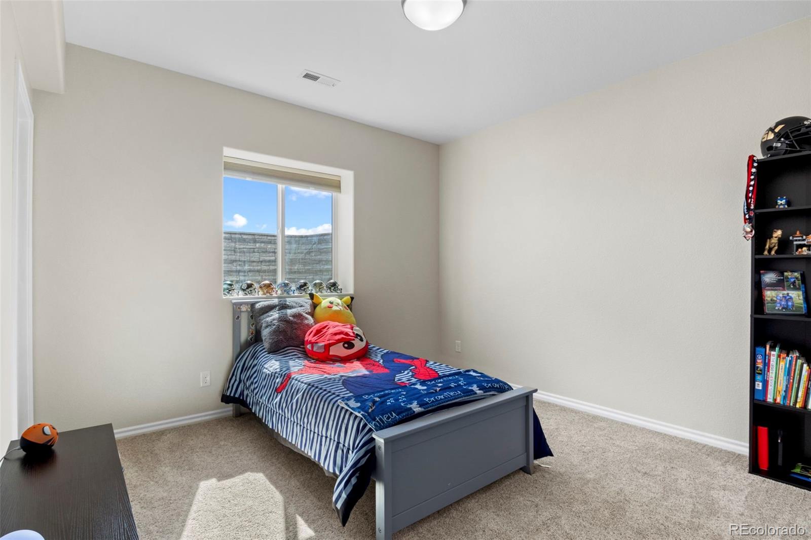 MLS Image #38 for 3730  hare haven lane,colorado springs, Colorado