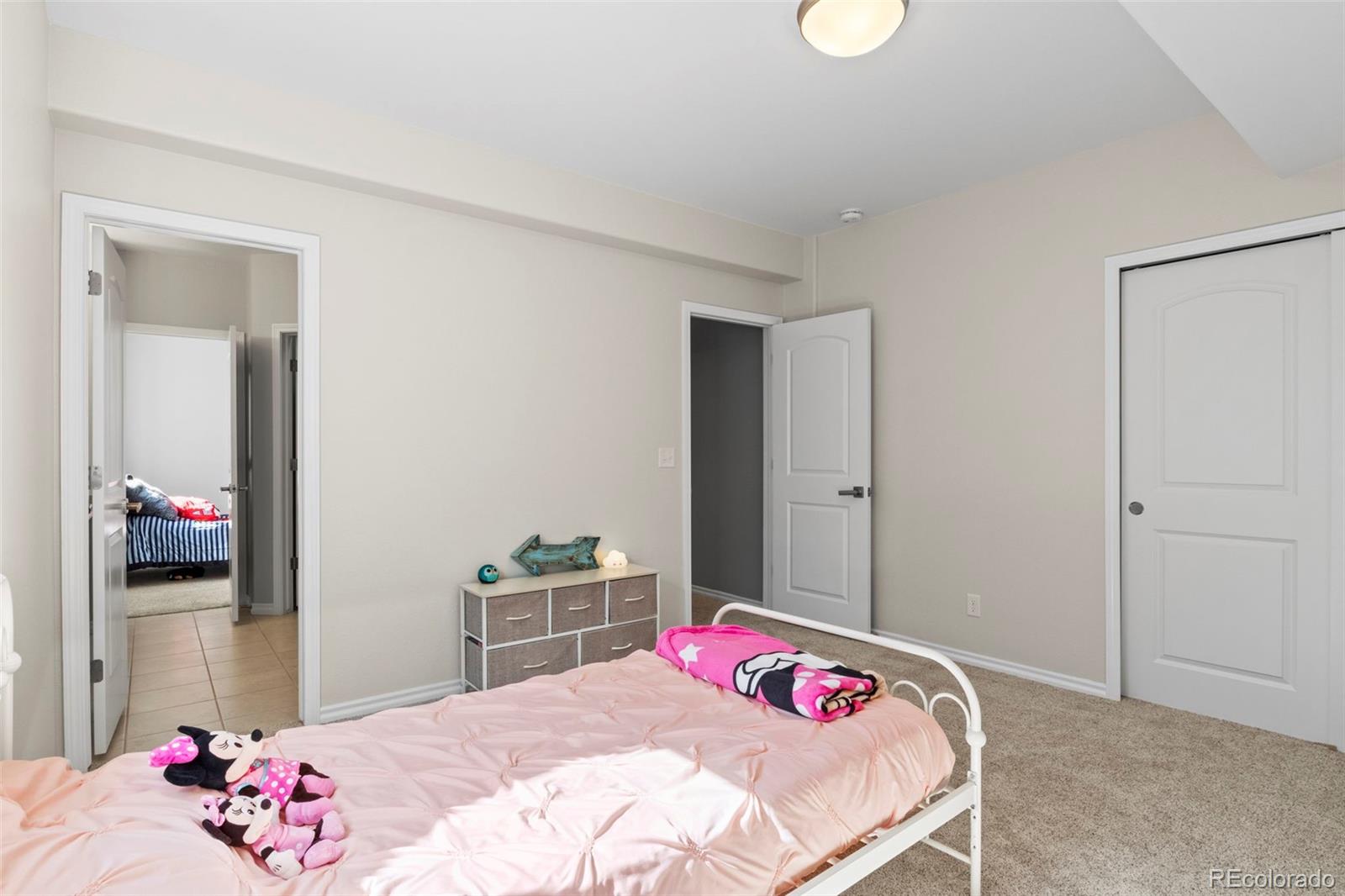 MLS Image #41 for 3730  hare haven lane,colorado springs, Colorado