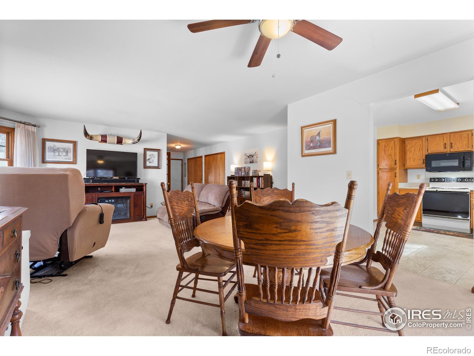 MLS Image #14 for 720  arbor avenue,fort collins, Colorado