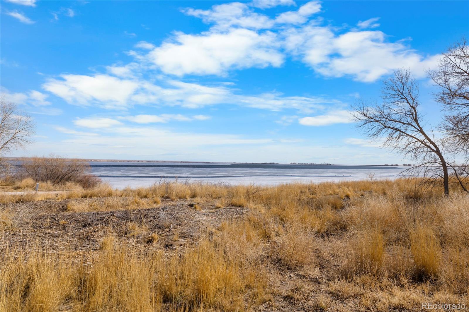 MLS Image #31 for 222  kiowa road,orchard, Colorado