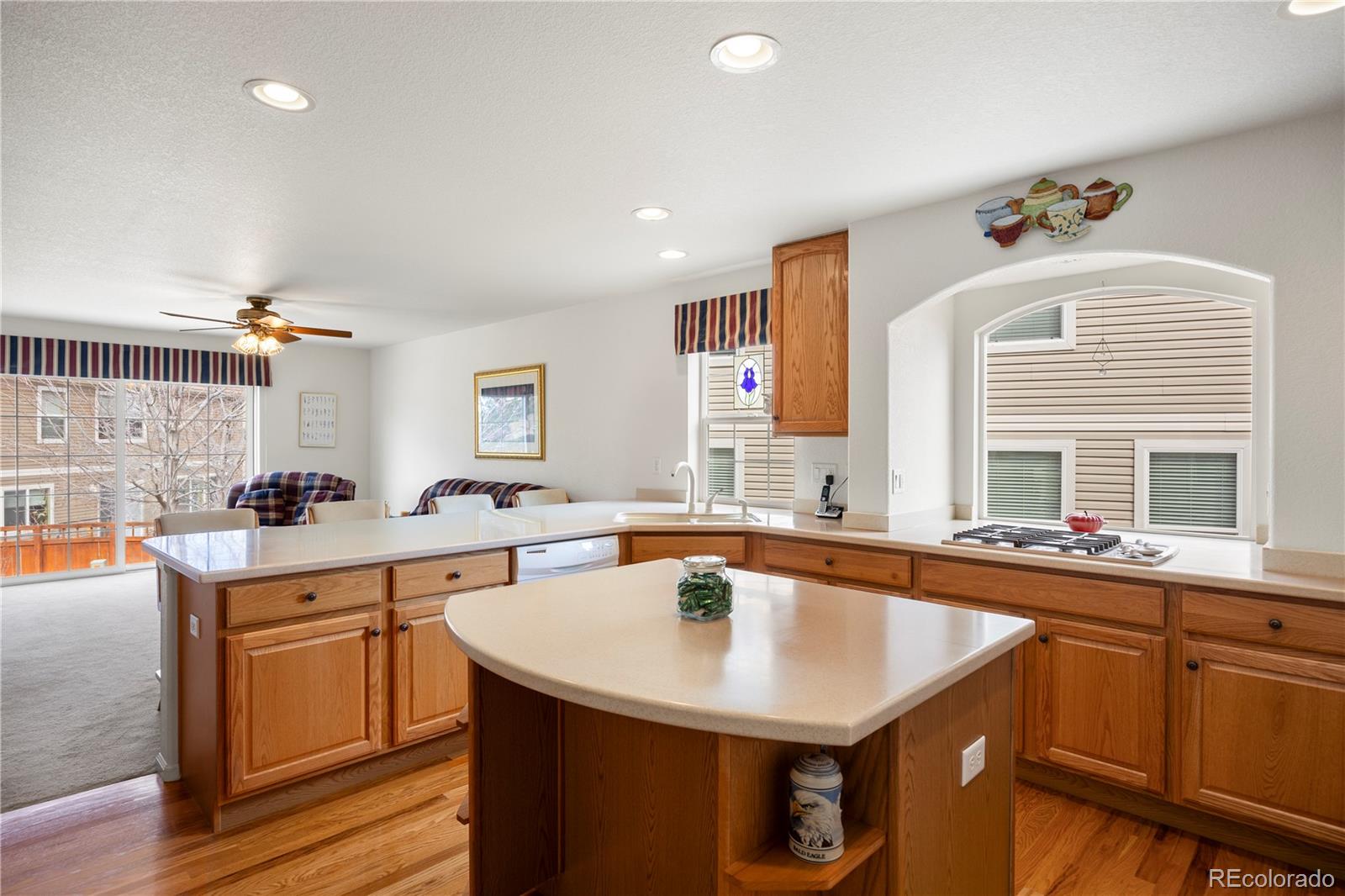 MLS Image #5 for 2085  cactus bloom court,castle rock, Colorado