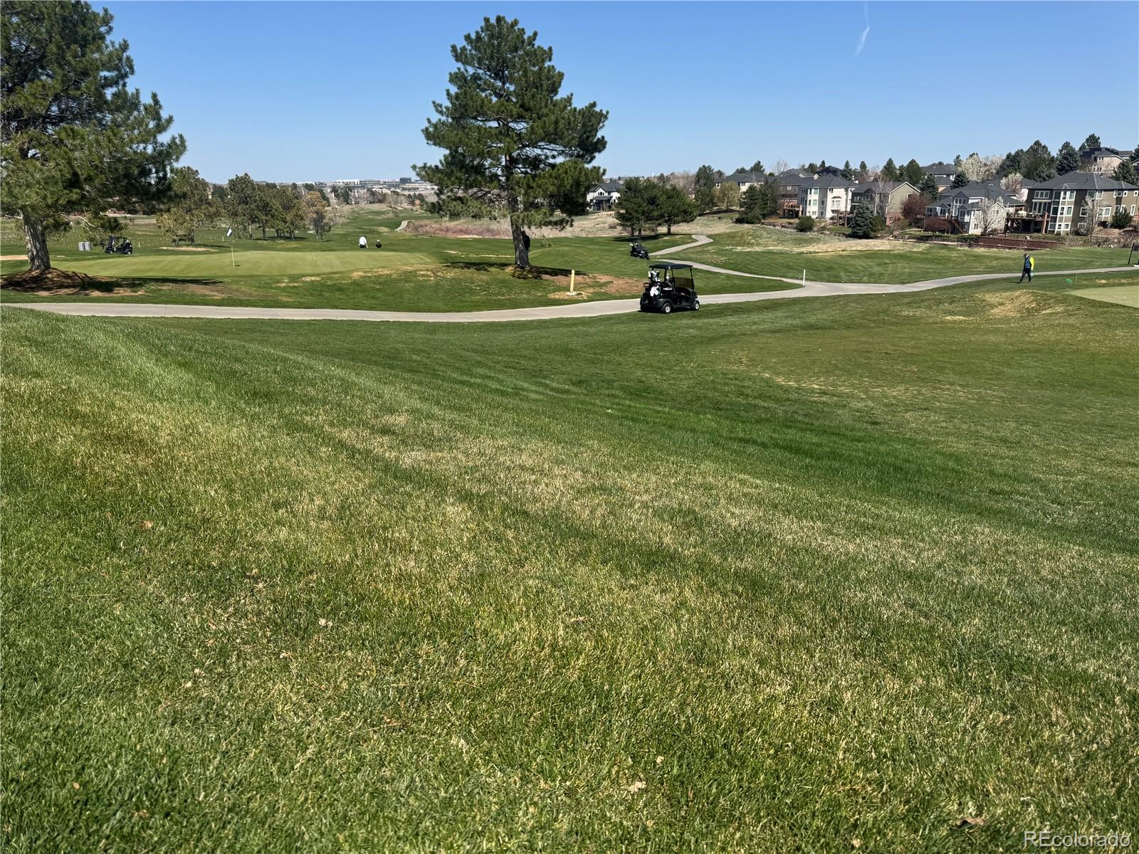 MLS Image #44 for 9830  cypress point circle,lone tree, Colorado