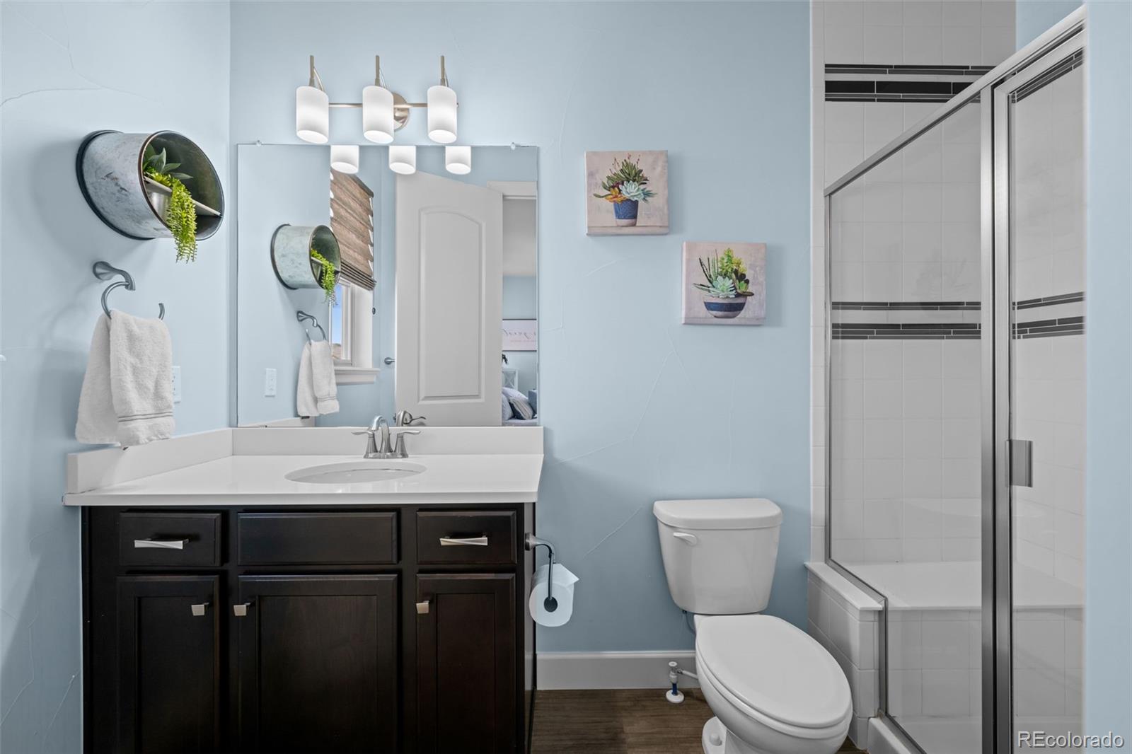 MLS Image #25 for 10624  ladera point,lone tree, Colorado