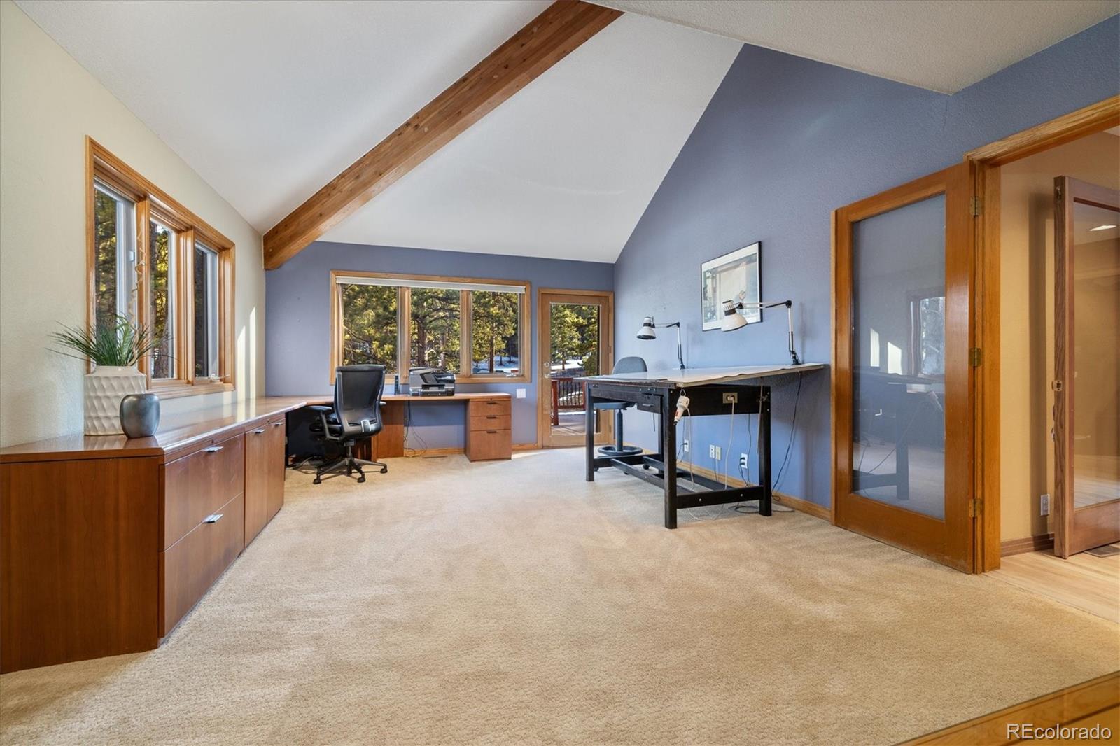 MLS Image #12 for 30444  ruby ranch road,evergreen, Colorado