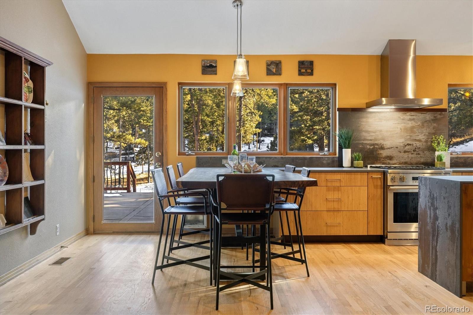 MLS Image #6 for 30444  ruby ranch road,evergreen, Colorado