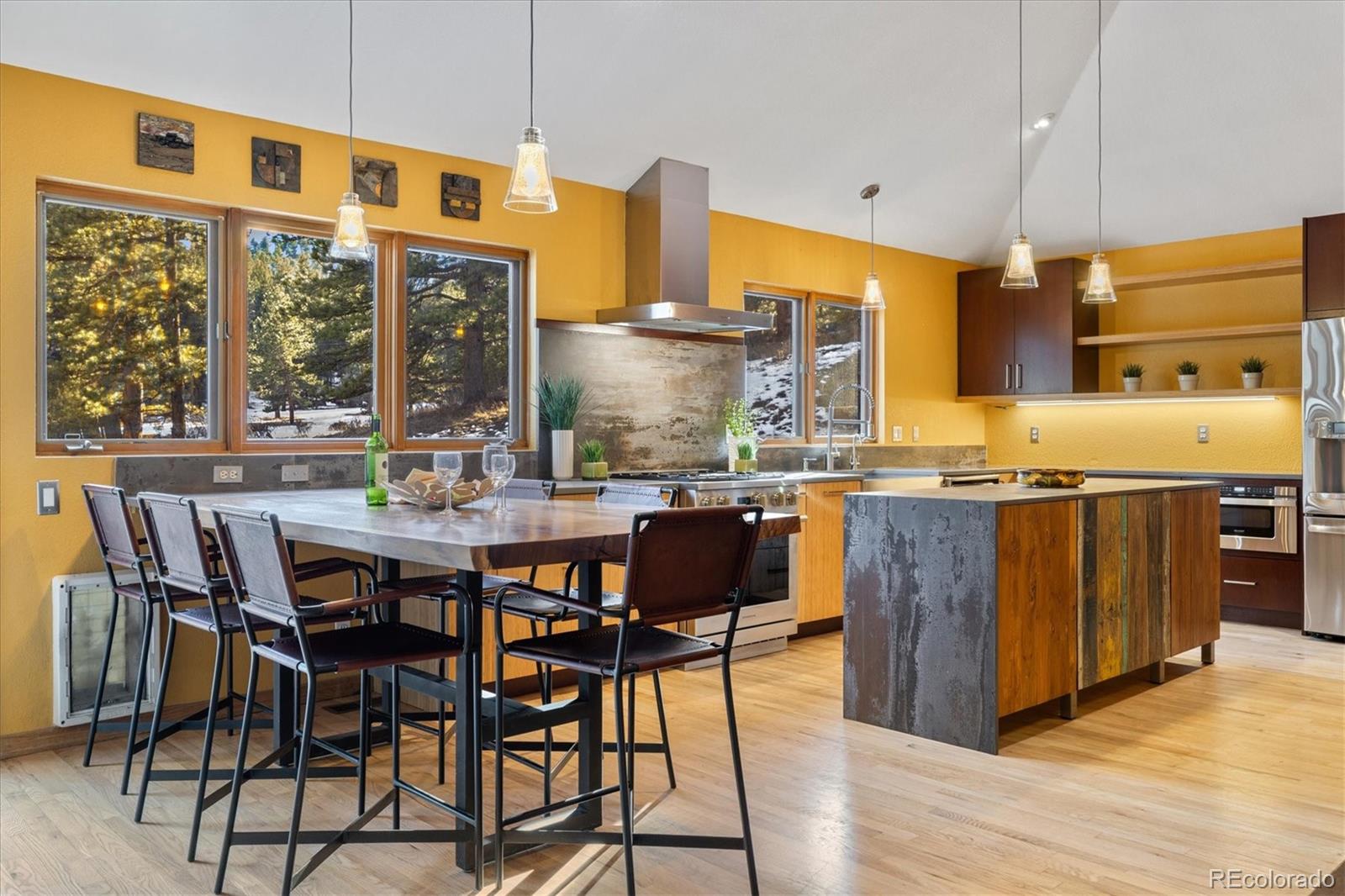 MLS Image #7 for 30444  ruby ranch road,evergreen, Colorado