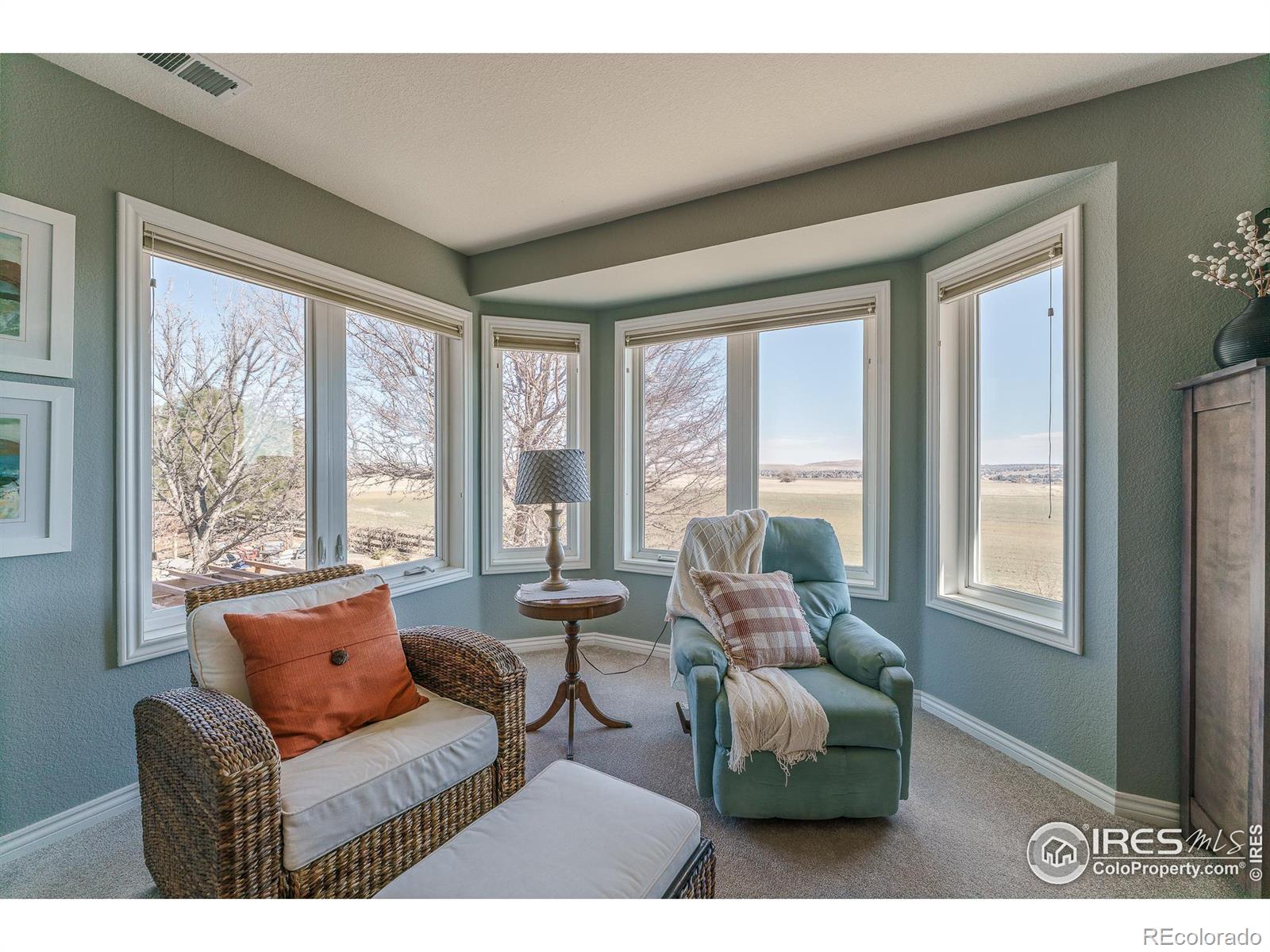 MLS Image #23 for 1244  hawk ridge road,lafayette, Colorado