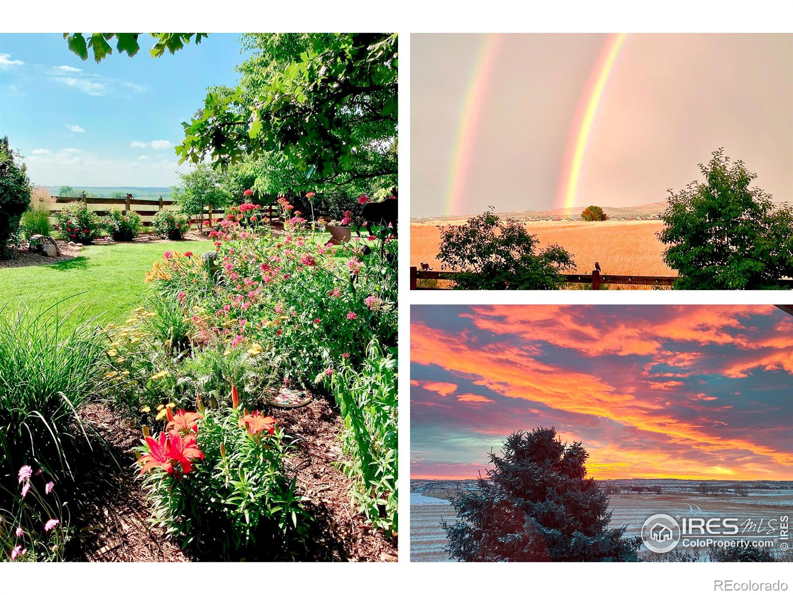 MLS Image #39 for 1244  hawk ridge road,lafayette, Colorado