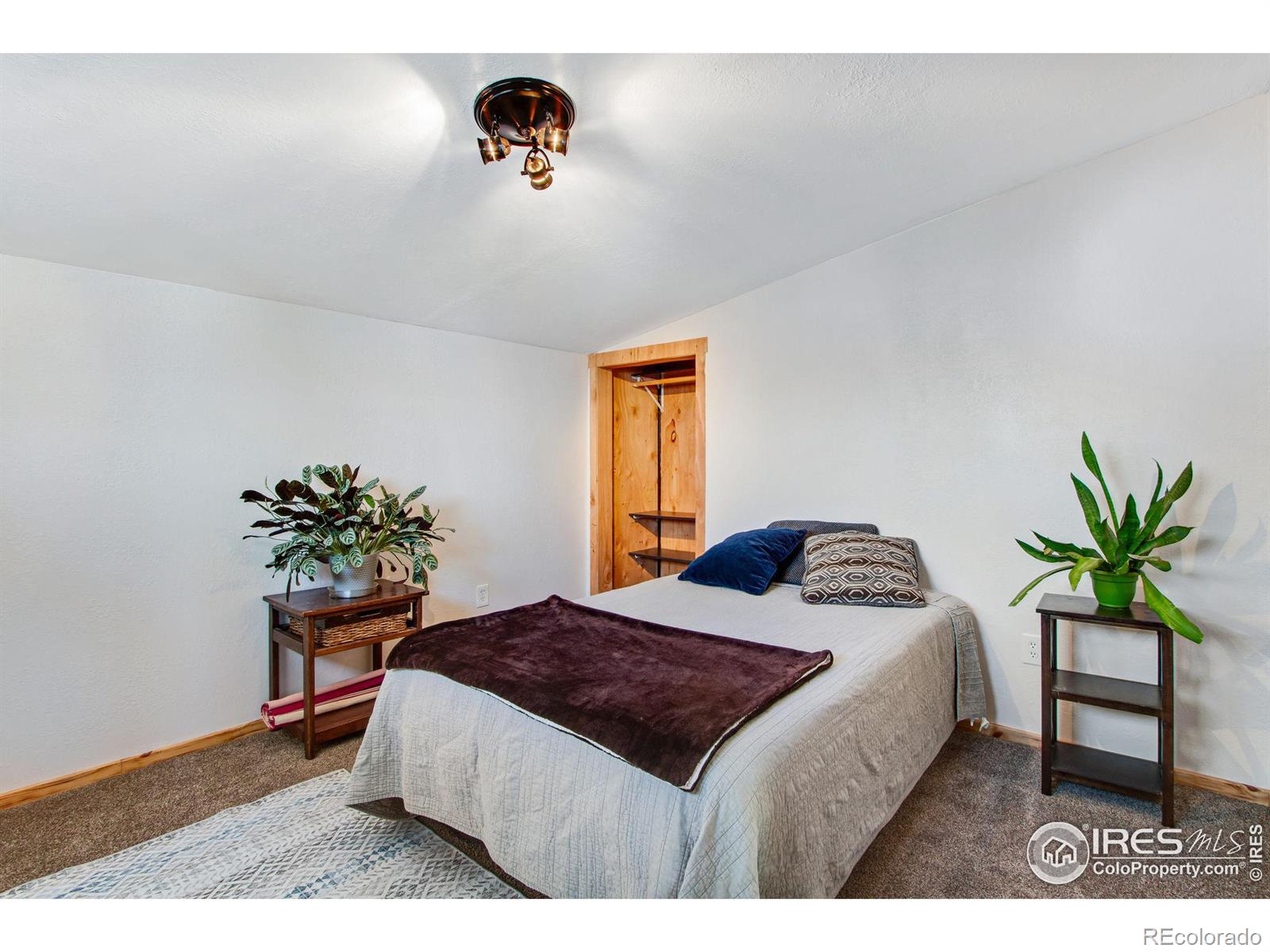 MLS Image #23 for 840  10th street,berthoud, Colorado