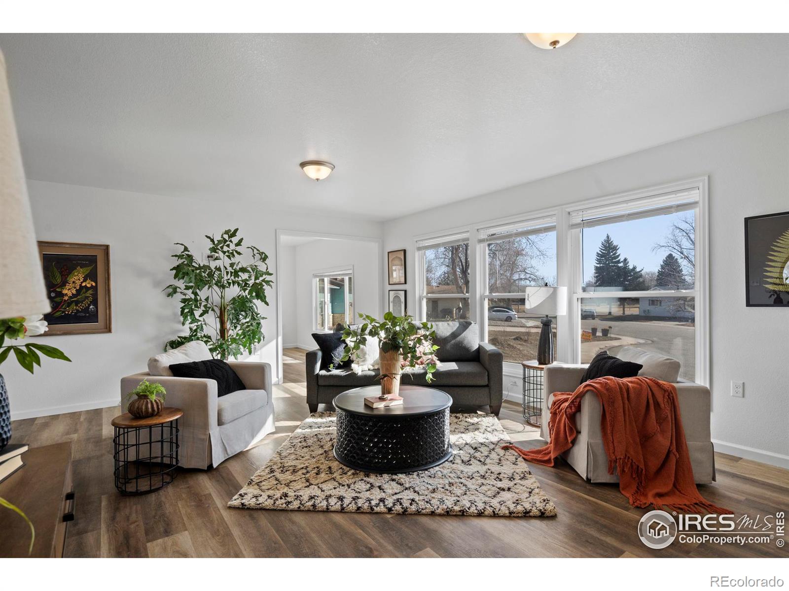 MLS Image #4 for 1032  fuchsia court,loveland, Colorado