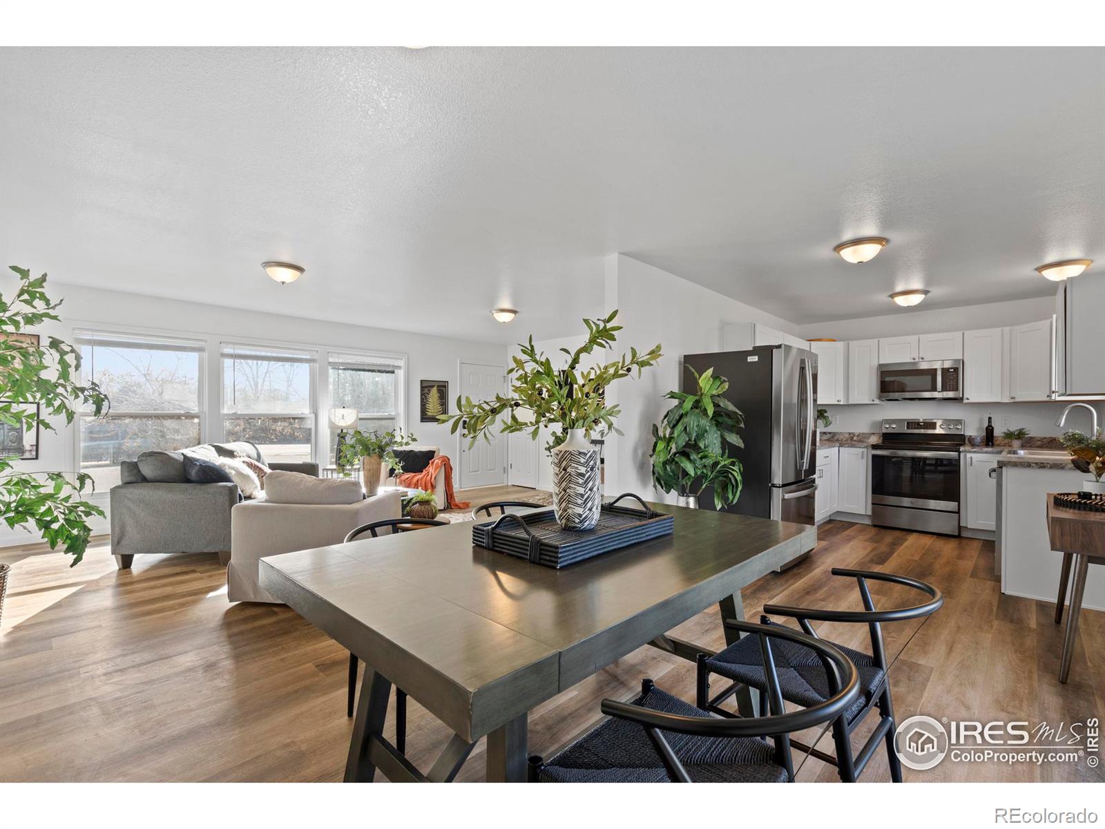 MLS Image #9 for 1032  fuchsia court,loveland, Colorado