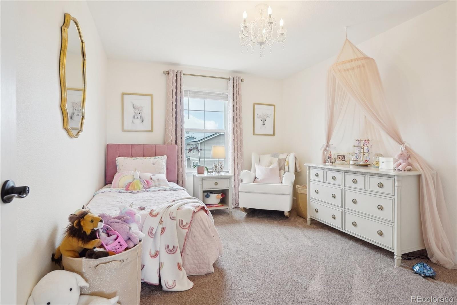MLS Image #13 for 1084  crenshaw street,castle rock, Colorado