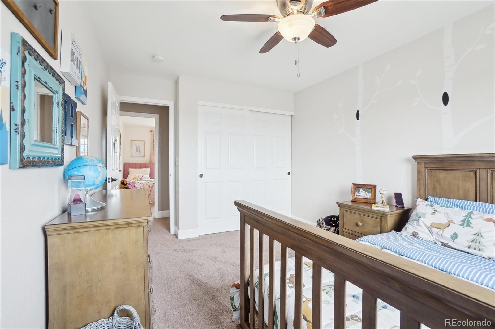 MLS Image #27 for 1084  crenshaw street,castle rock, Colorado
