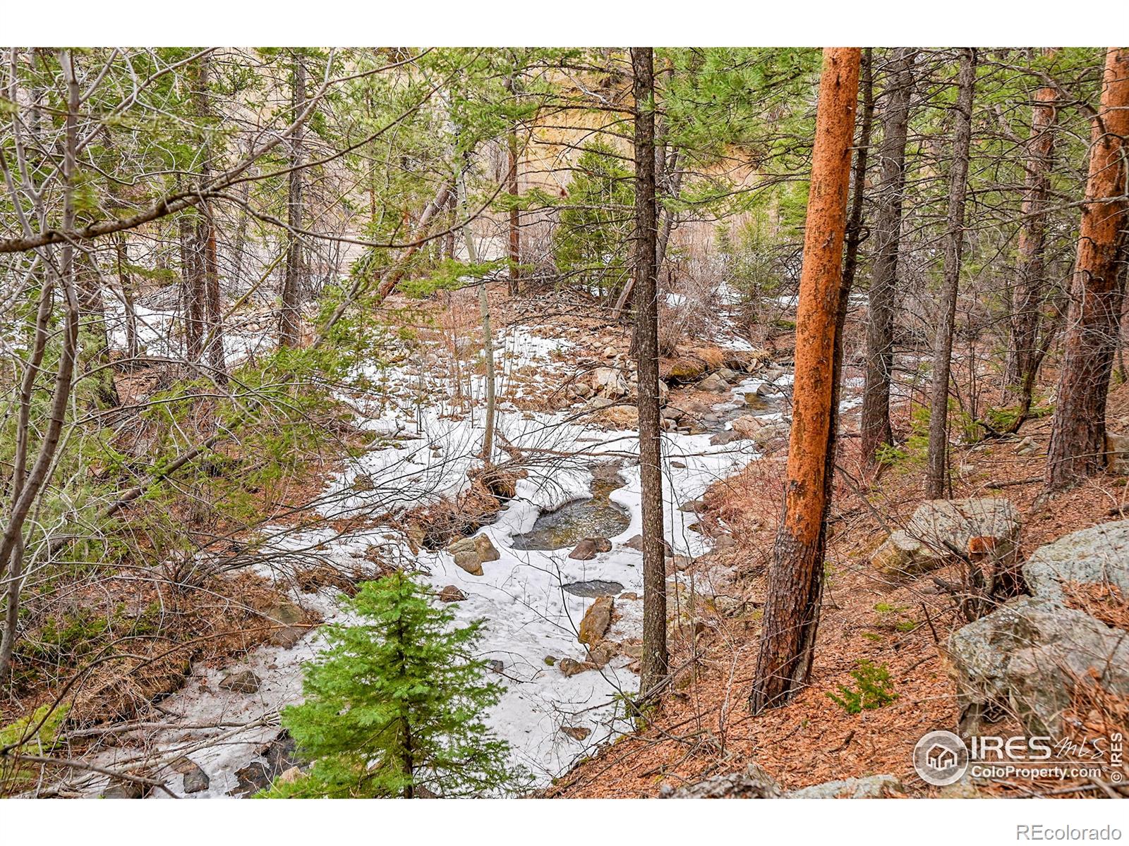 MLS Image #29 for 8801  lefthand canyon drive,jamestown, Colorado