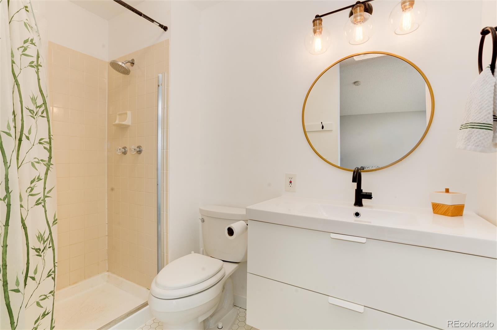 MLS Image #21 for 1296  ascot avenue,highlands ranch, Colorado