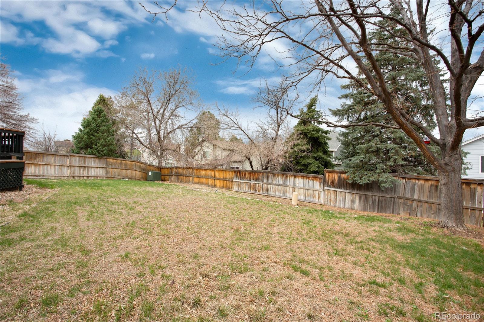 MLS Image #36 for 1296  ascot avenue,highlands ranch, Colorado