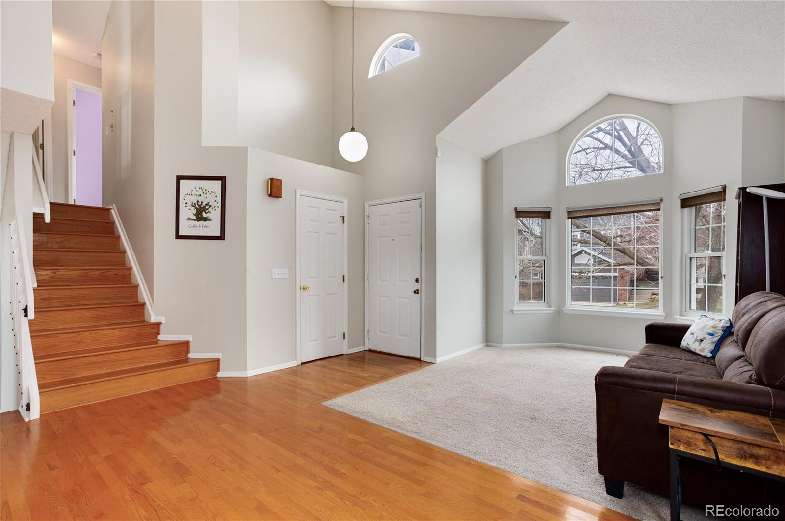 MLS Image #6 for 1296  ascot avenue,highlands ranch, Colorado