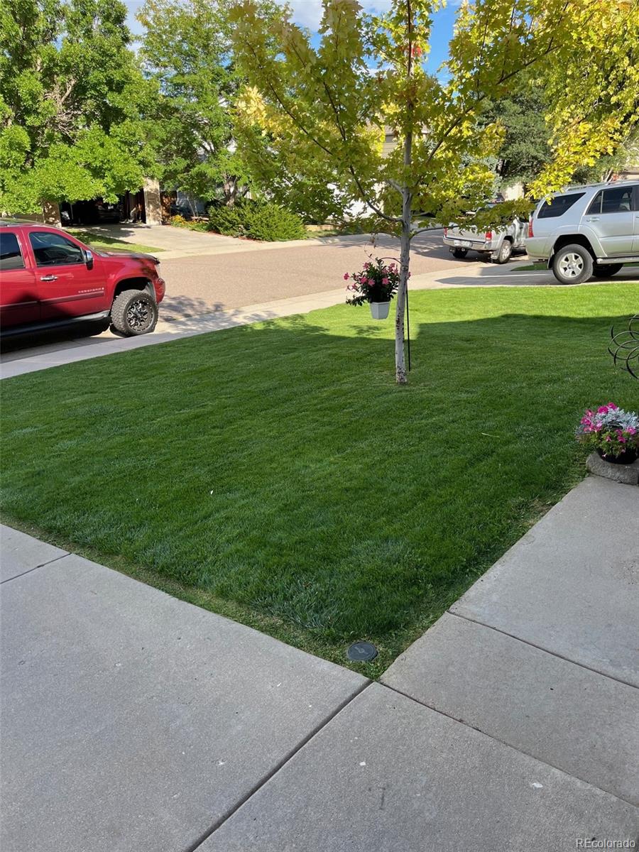 MLS Image #42 for 9377  weeping willow court,highlands ranch, Colorado