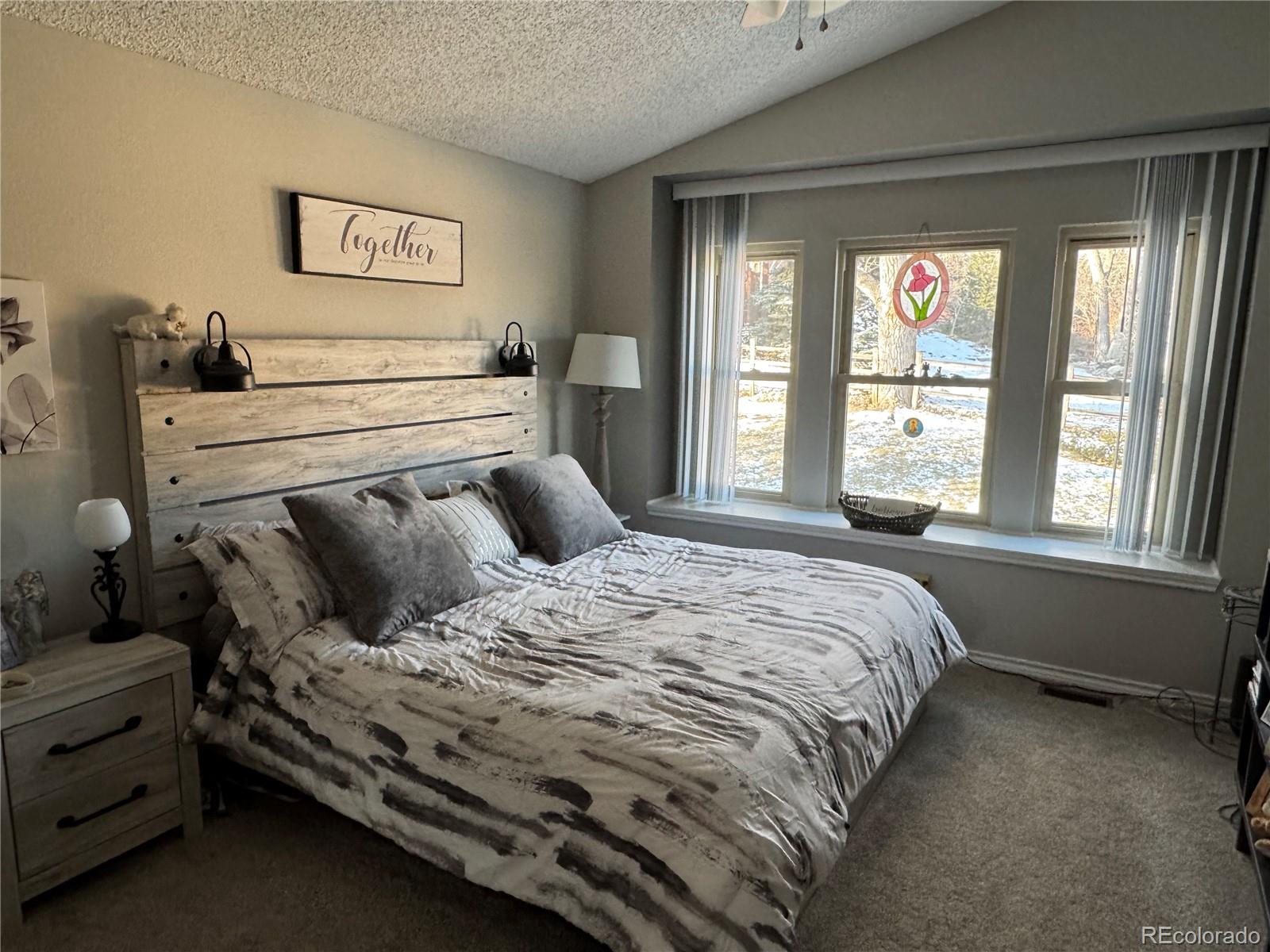 MLS Image #12 for 6833 s miller street,littleton, Colorado