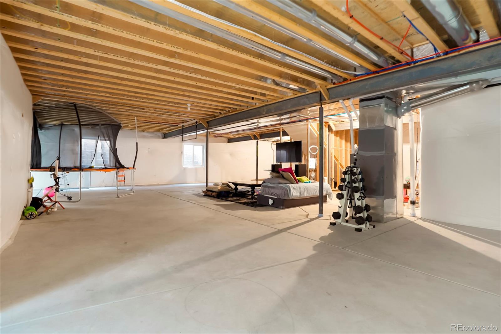 MLS Image #22 for 1060  marfell street,erie, Colorado