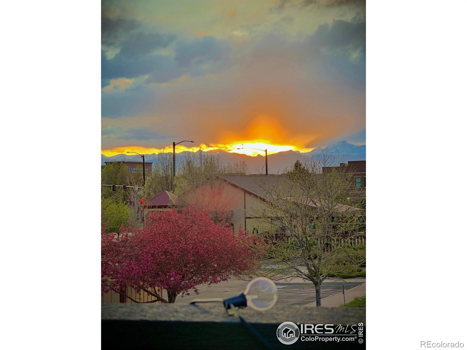 MLS Image #14 for 167  ambrose street,erie, Colorado