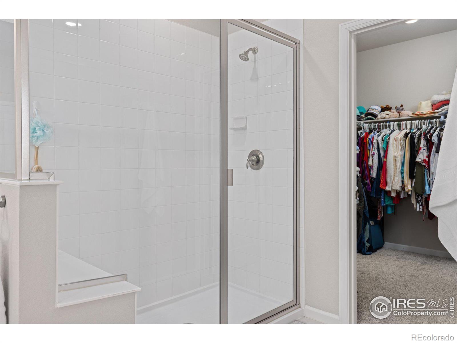 MLS Image #19 for 167  ambrose street,erie, Colorado