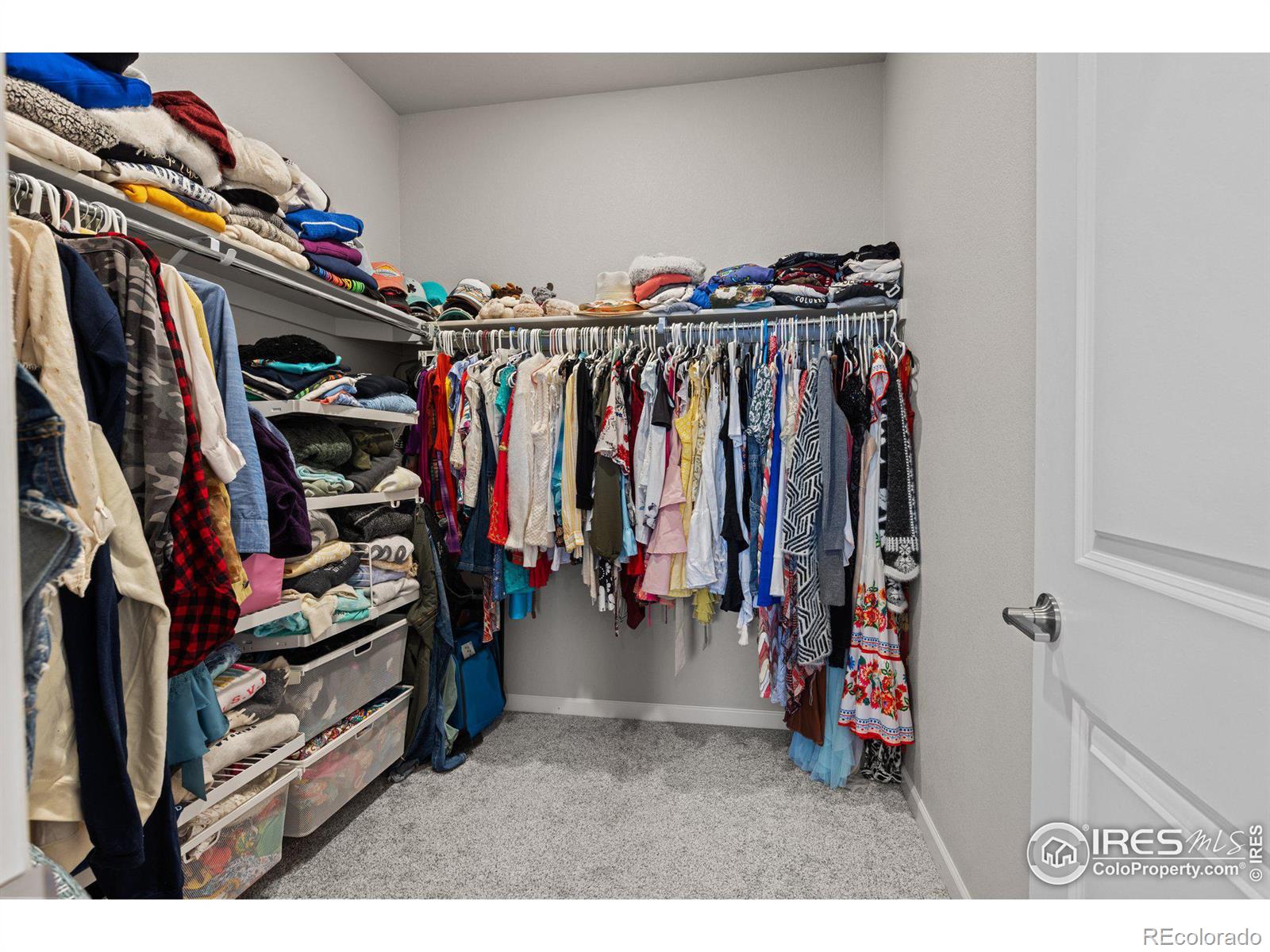 MLS Image #20 for 167  ambrose street,erie, Colorado