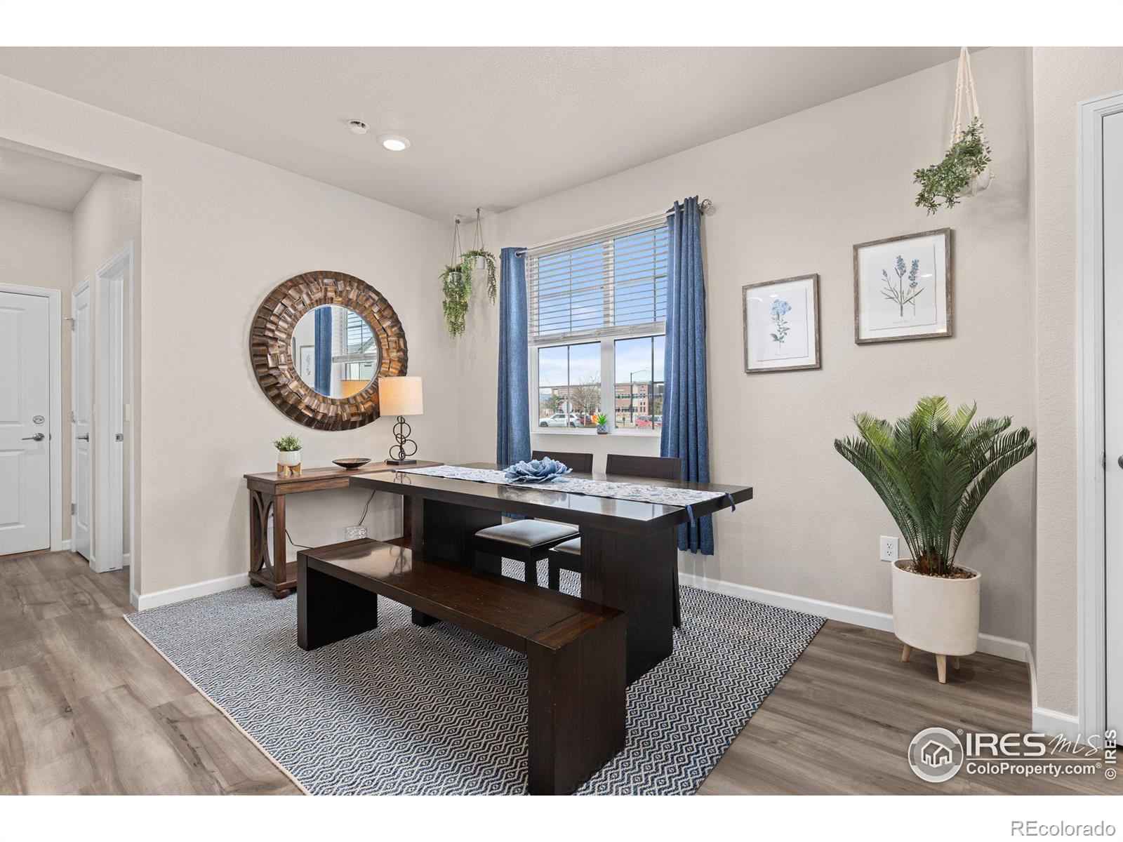 MLS Image #5 for 167  ambrose street,erie, Colorado