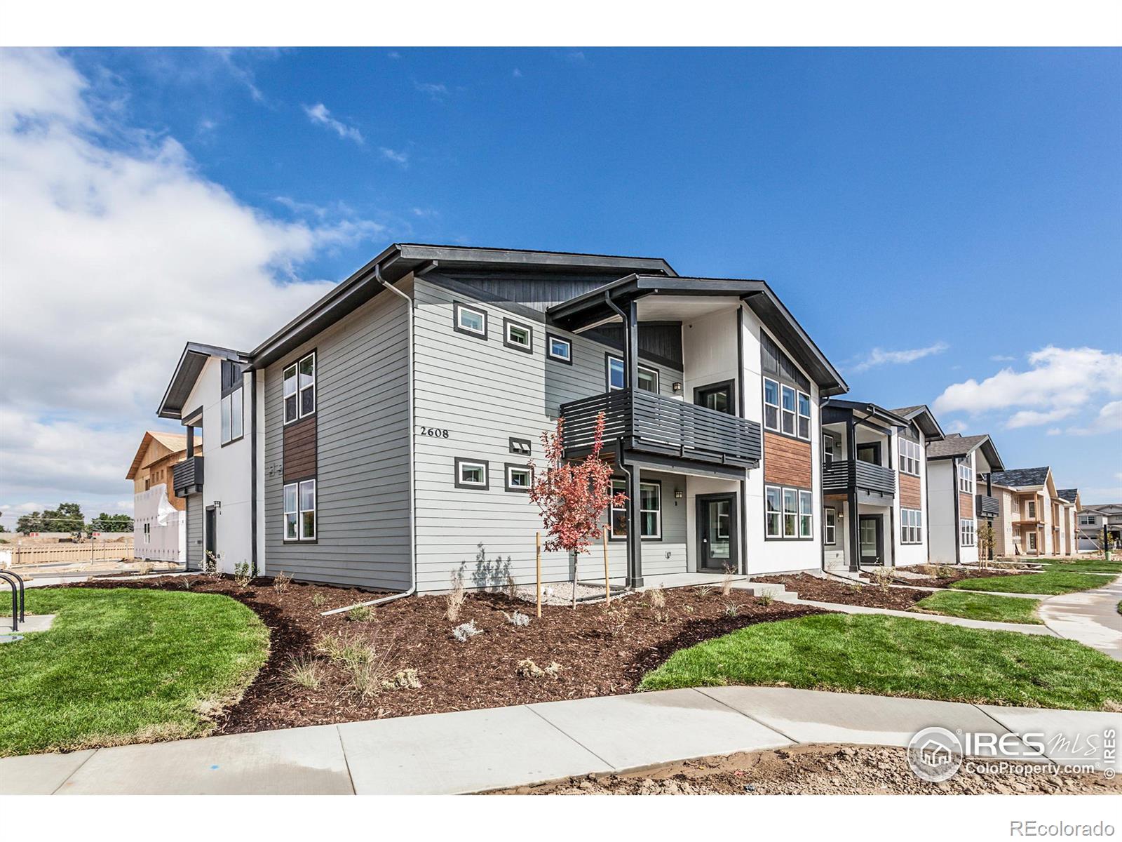 Report Image for 2608  Conquest Street,Fort Collins, Colorado