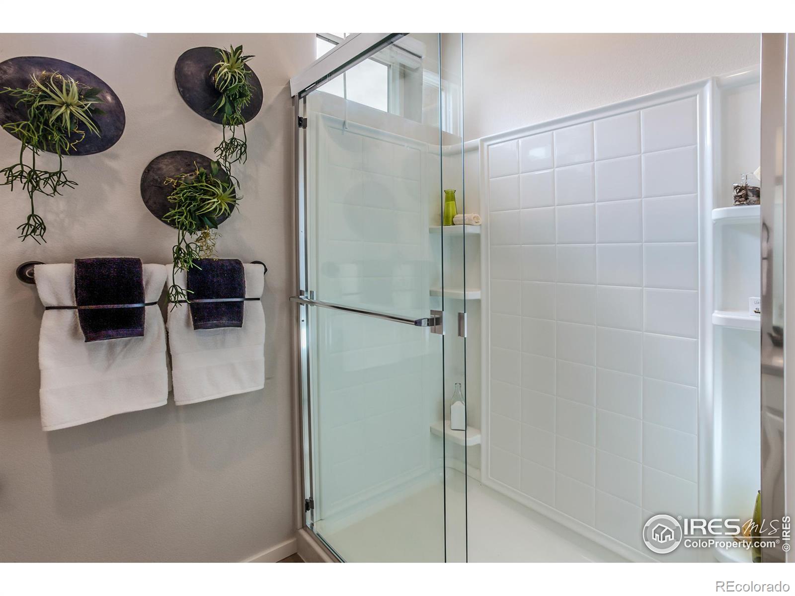 MLS Image #16 for 2608  conquest street,fort collins, Colorado