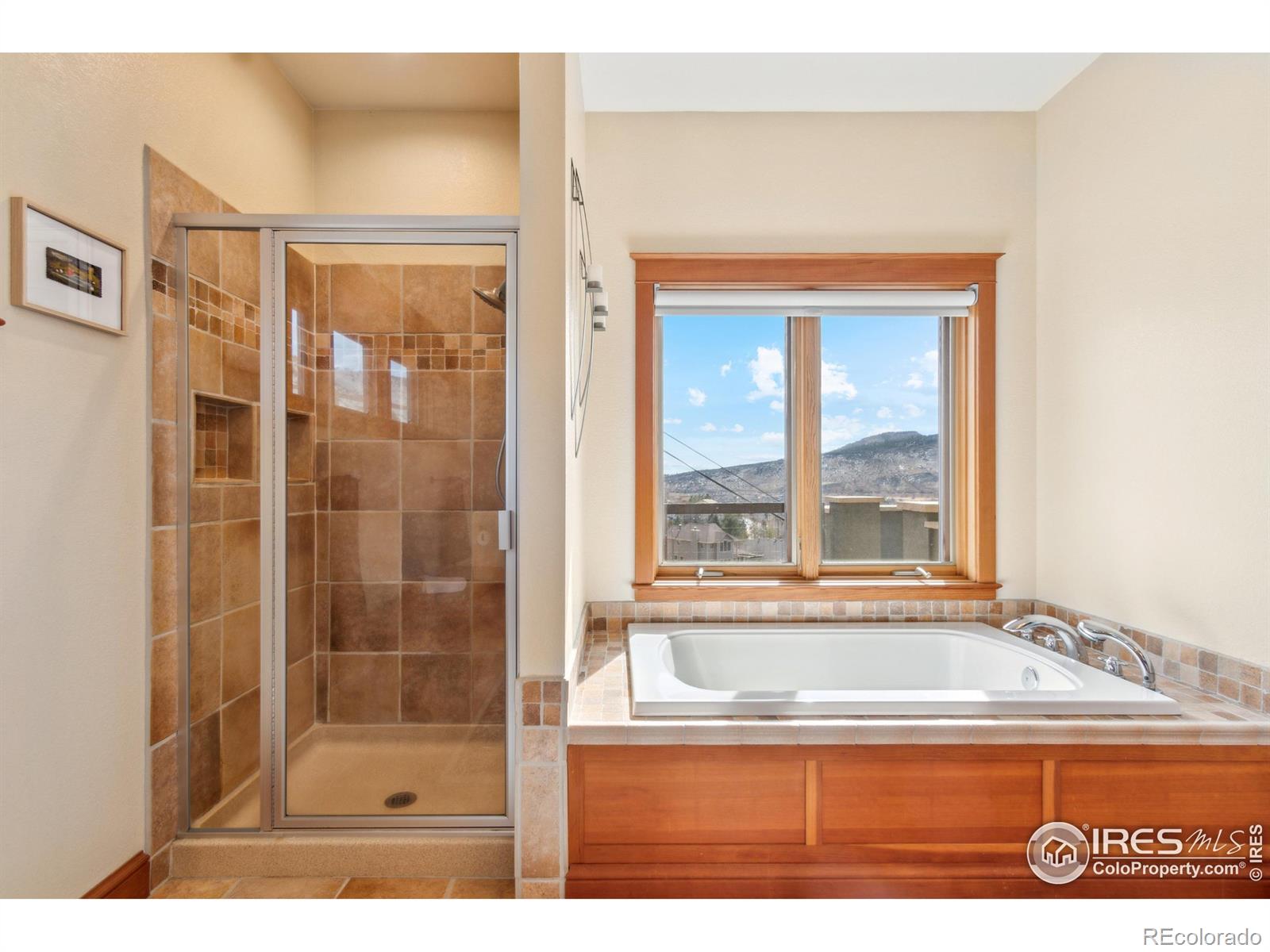 MLS Image #23 for 102  longs peak drive,lyons, Colorado