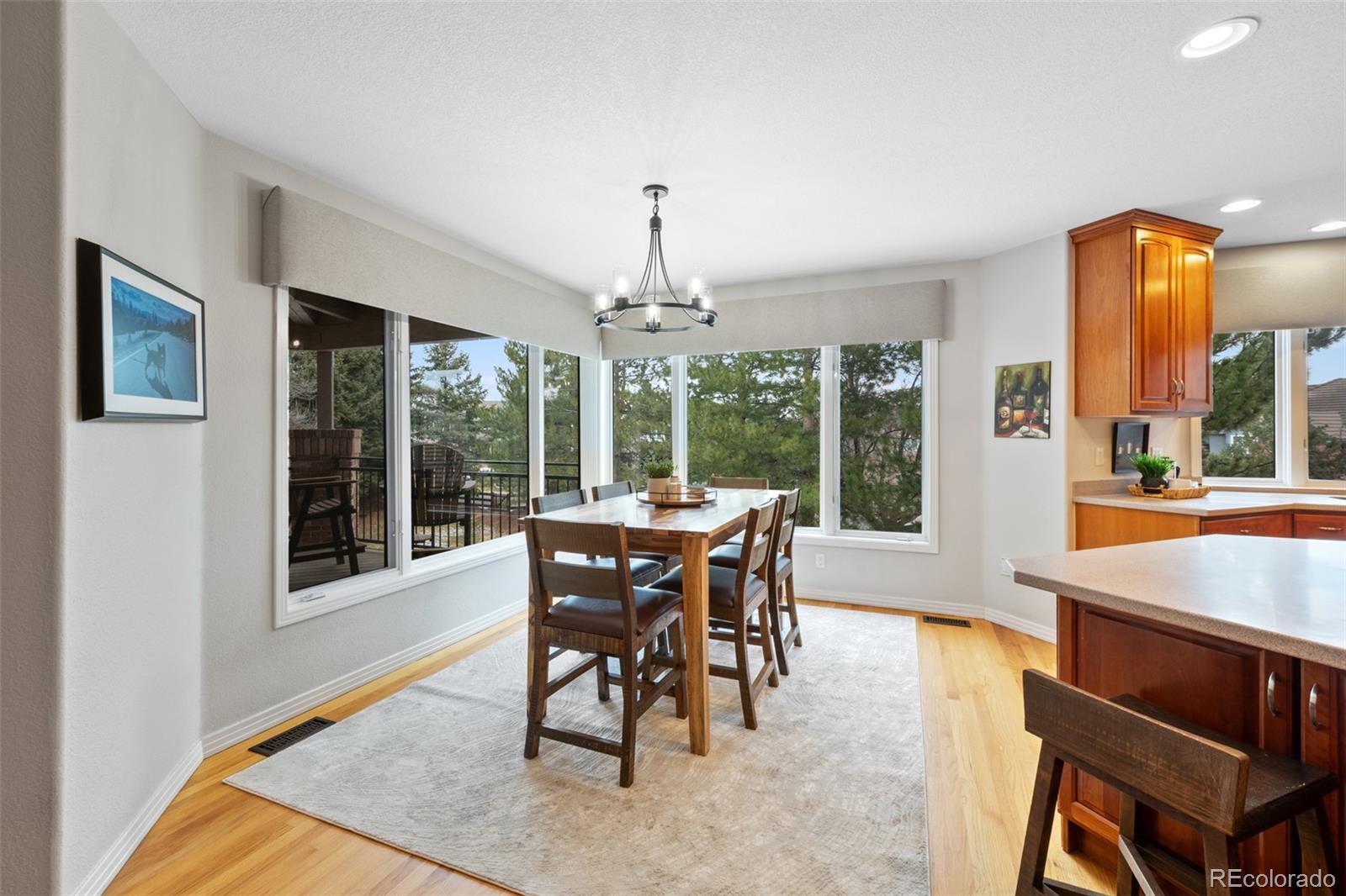 MLS Image #11 for 9  mule deer trail,littleton, Colorado