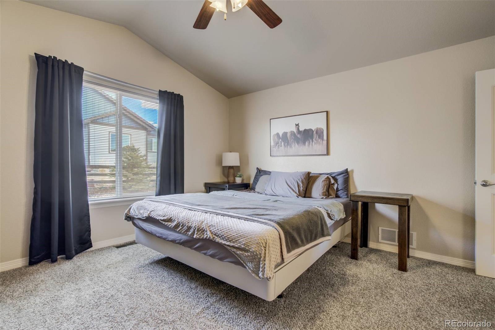 MLS Image #15 for 12419  salmon point,colorado springs, Colorado