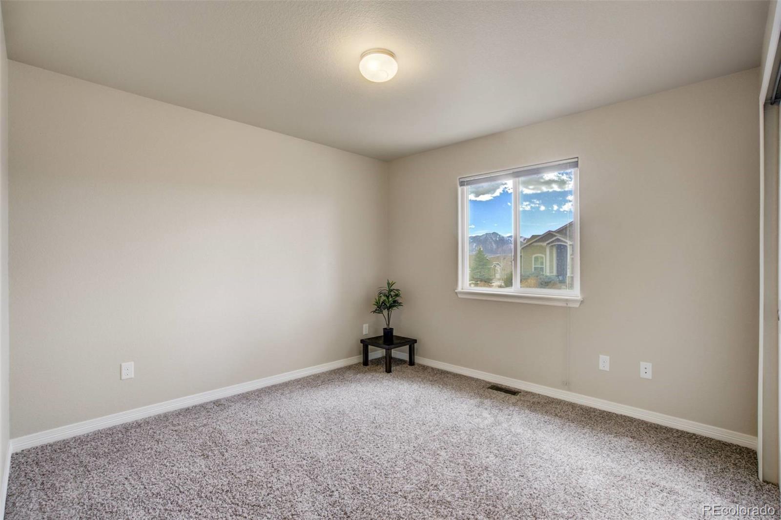 MLS Image #21 for 12419  salmon point,colorado springs, Colorado