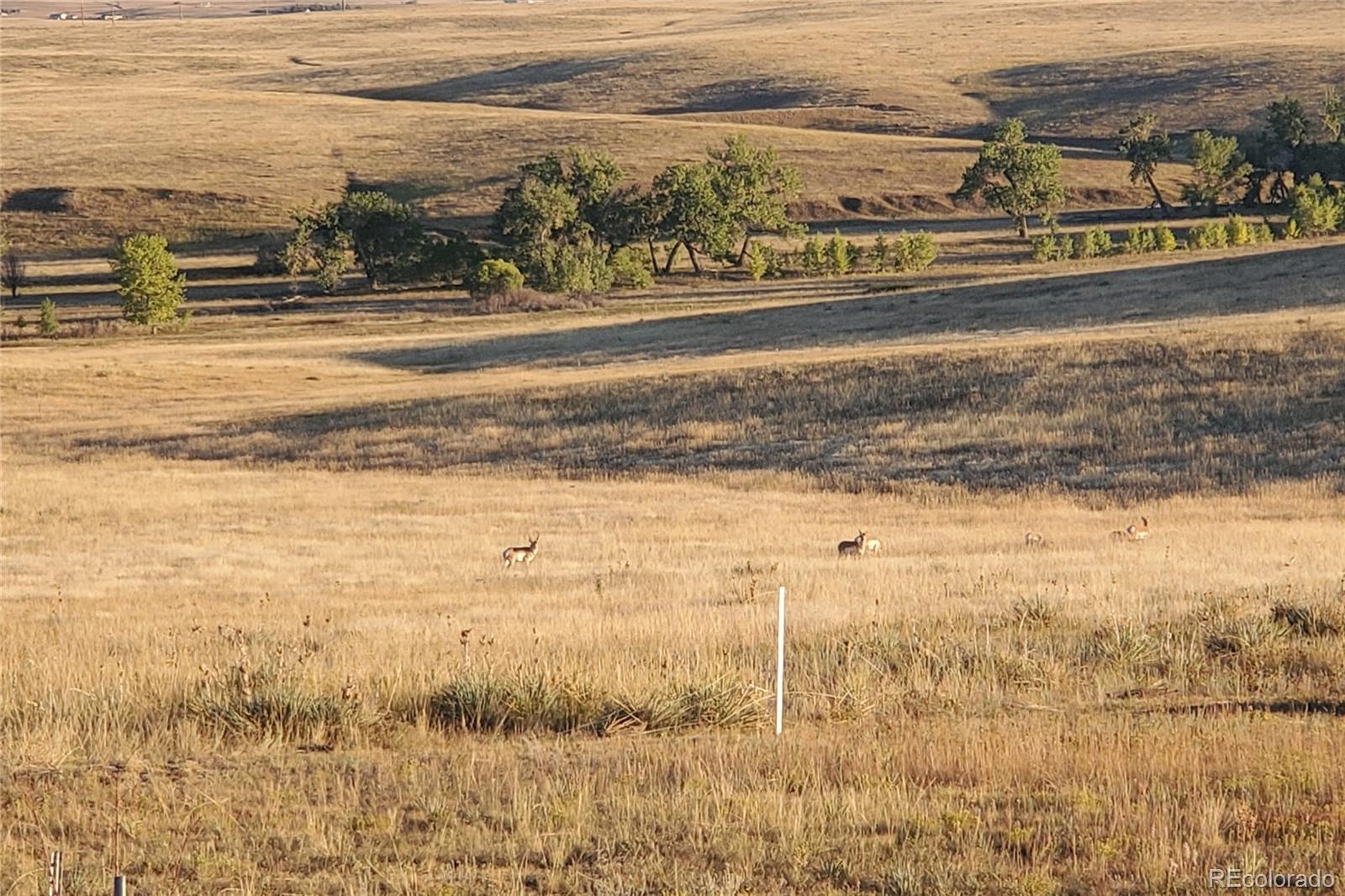 MLS Image #48 for 39443  buffalo run circle,kiowa, Colorado