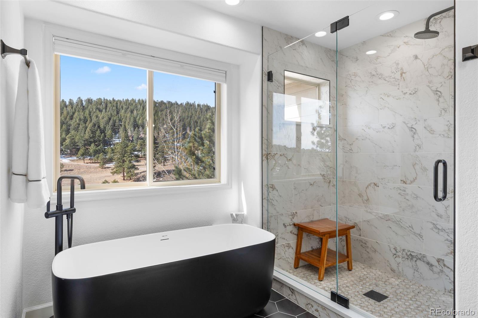 MLS Image #10 for 30455  telluride lane,evergreen, Colorado